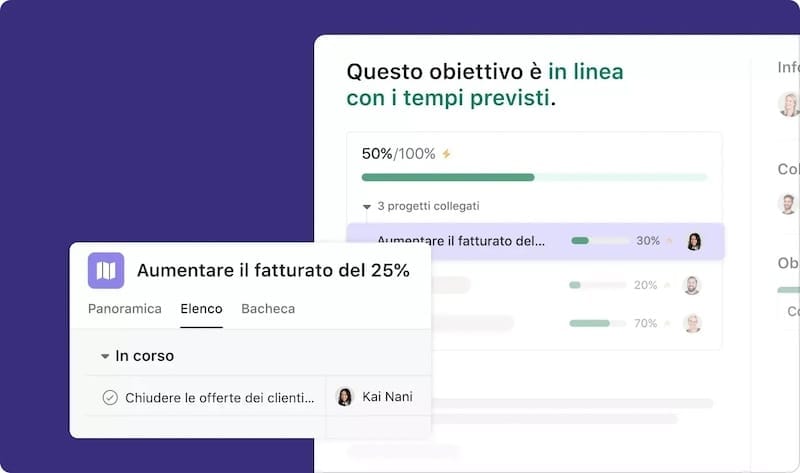 Asana Portfolio gestione multi-progetto per PM